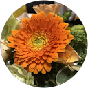 himawari profile picture