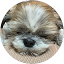 ふじもん profile picture