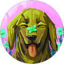 Mickey Donald profile picture