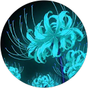 t.k T.k profile picture