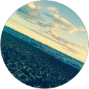 Niki Ryu profile picture