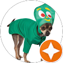 樹菜 profile picture