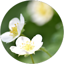 すーずちー profile picture