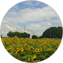 はっち profile picture