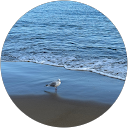 さくもも profile picture