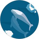 はな profile picture