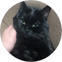 なあくん profile picture