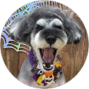 shape profile picture