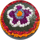 ちょみこぱ profile picture