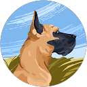 はやはや profile picture