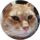 利光康孝 profile picture