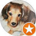 さら profile picture