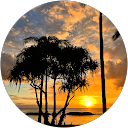 yuko tngc profile picture