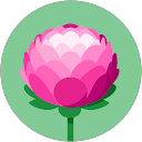 沈香 profile picture