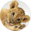 三木明里沙 profile picture