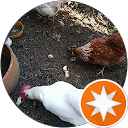 i chi profile picture