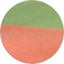 田中美穂 profile picture