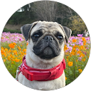 shin 124 profile picture