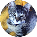 urimemegoo profile picture