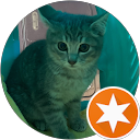 GIN (tom) profile picture