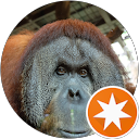 Mok Gavin profile picture