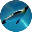 Yuri Takizawa profile picture