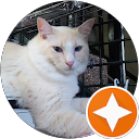 さゆさゆ profile picture