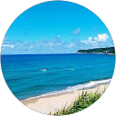 K.U “ここぼん” profile picture