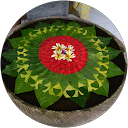 土井隆 profile picture