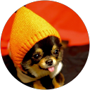 Nana Pin profile picture