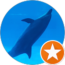 とらとら profile picture