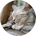 橋本ユウイチロウ profile picture