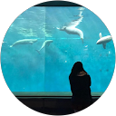 夜久 profile picture