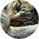 asato ma profile picture