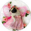 きっと、大丈夫 profile picture