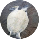 ゆき profile picture