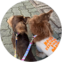 みお profile picture