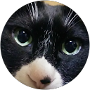 Pu_ta profile picture