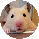 mi Mi profile picture