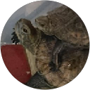 チャンネルガジ profile picture