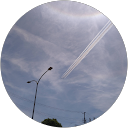 vivi profile picture