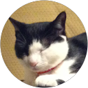 今野幸恵 profile picture