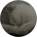 春稀 profile picture