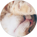 まり profile picture