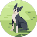 フジリリ profile picture