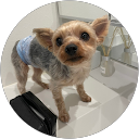 ちびナス profile picture