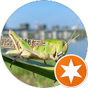 pocoteen profile picture