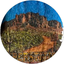 Cato Mia profile picture