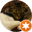 いとう profile picture