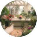 リンリン profile picture